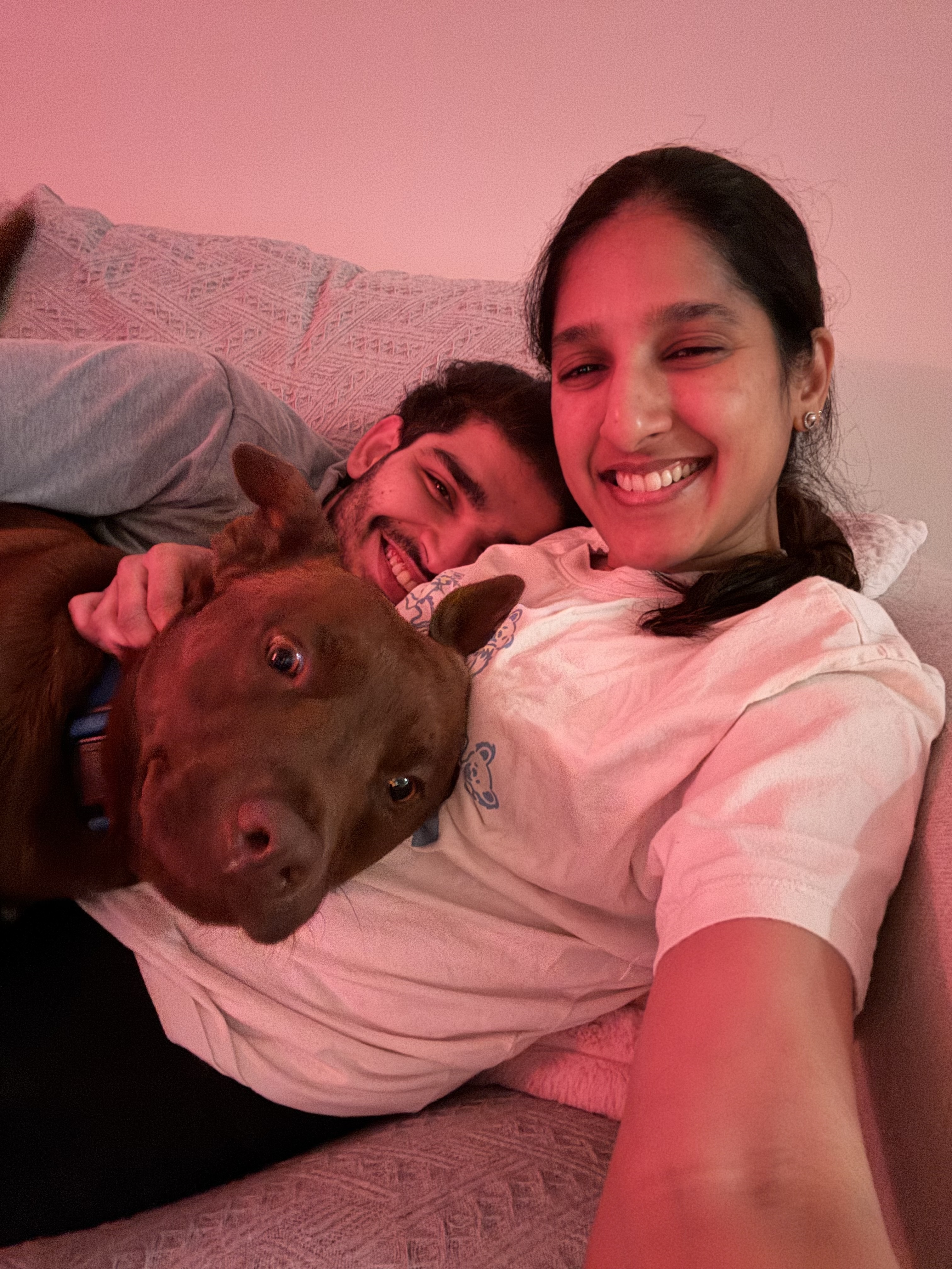 Courage the foster dog